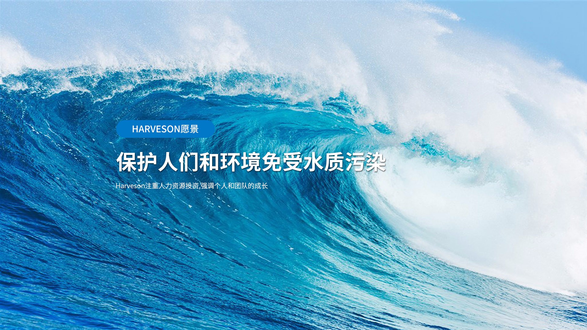 9001cc金沙以诚为本(中国集团)有限公司官网