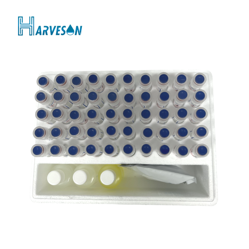 9001cc金沙以诚为本(中国集团)有限公司官网