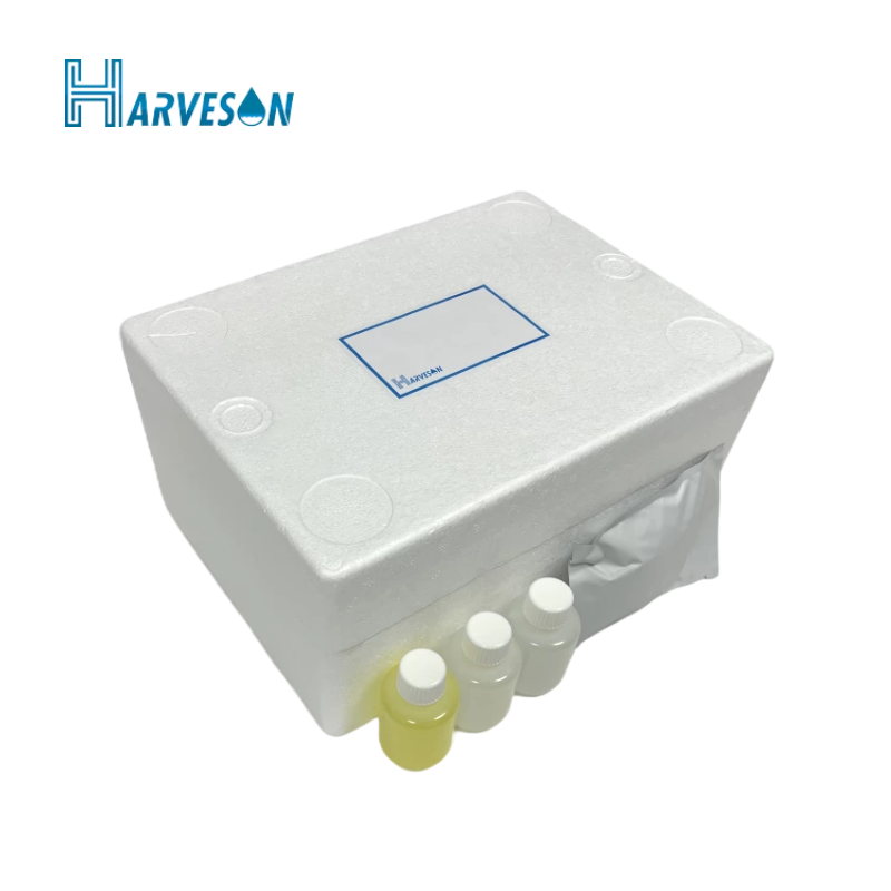 9001cc金沙以诚为本(中国集团)有限公司官网