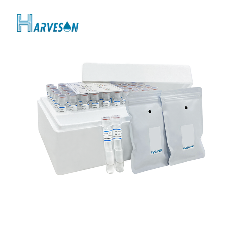 9001cc金沙以诚为本(中国集团)有限公司官网